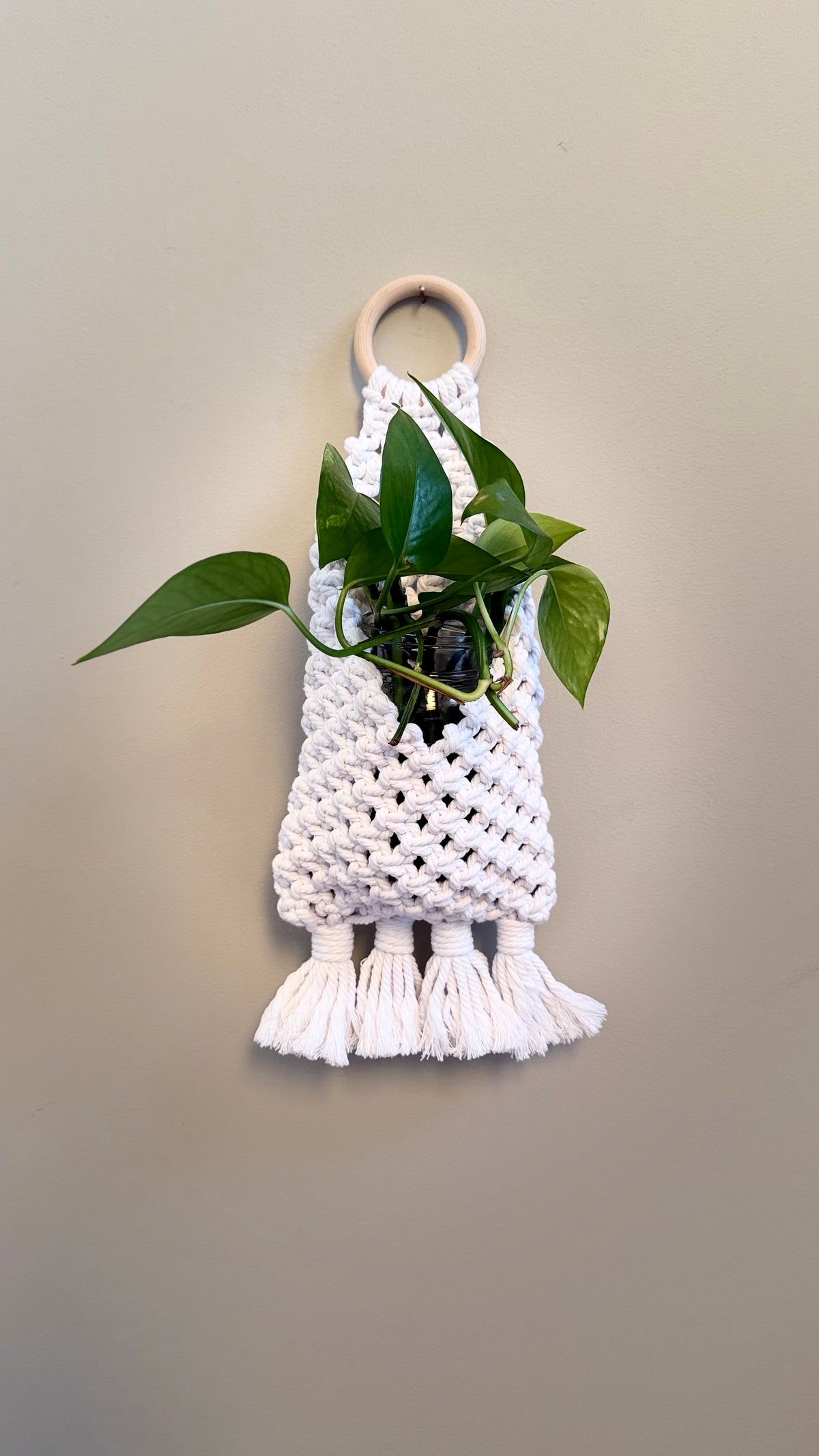 Vine Cradle - macrame plant holder